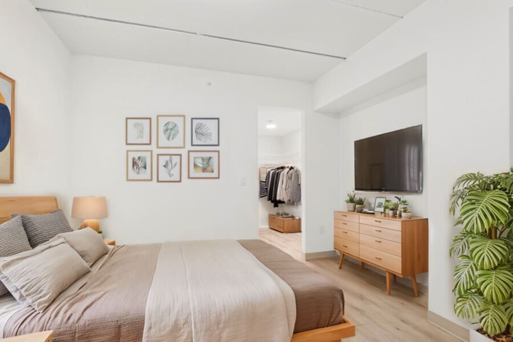 Bedroom with Vinyl Plank Flooring and tv at Mily on Green in Philadelphia, Pennsylvania