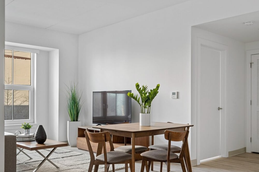 Dining at Mily on Green in Philadelphia, Pennsylvania