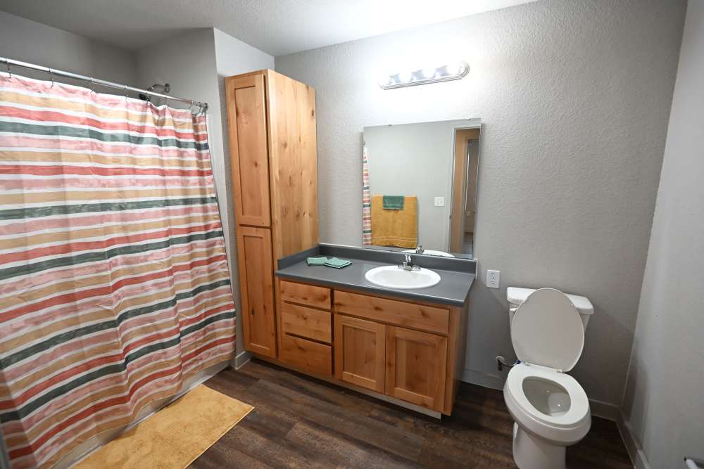 Bathroom at Carver Ridge in Hutto, Texas