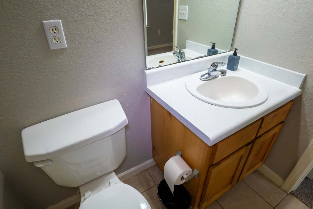 Bathroom with commode at Hampton Village in Palestine, Texas