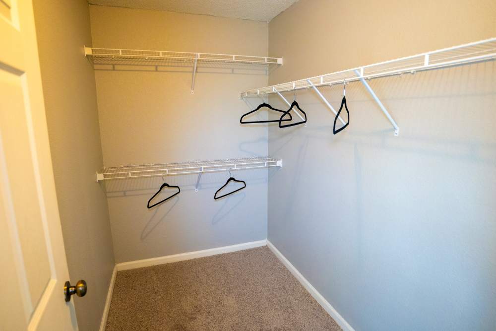 Closet with carpet flooring at Hampton Village in Palestine, Texas