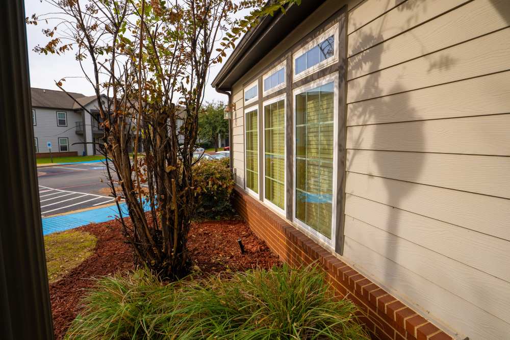 Small plants side of the house at Hampton Village in Palestine, Texas