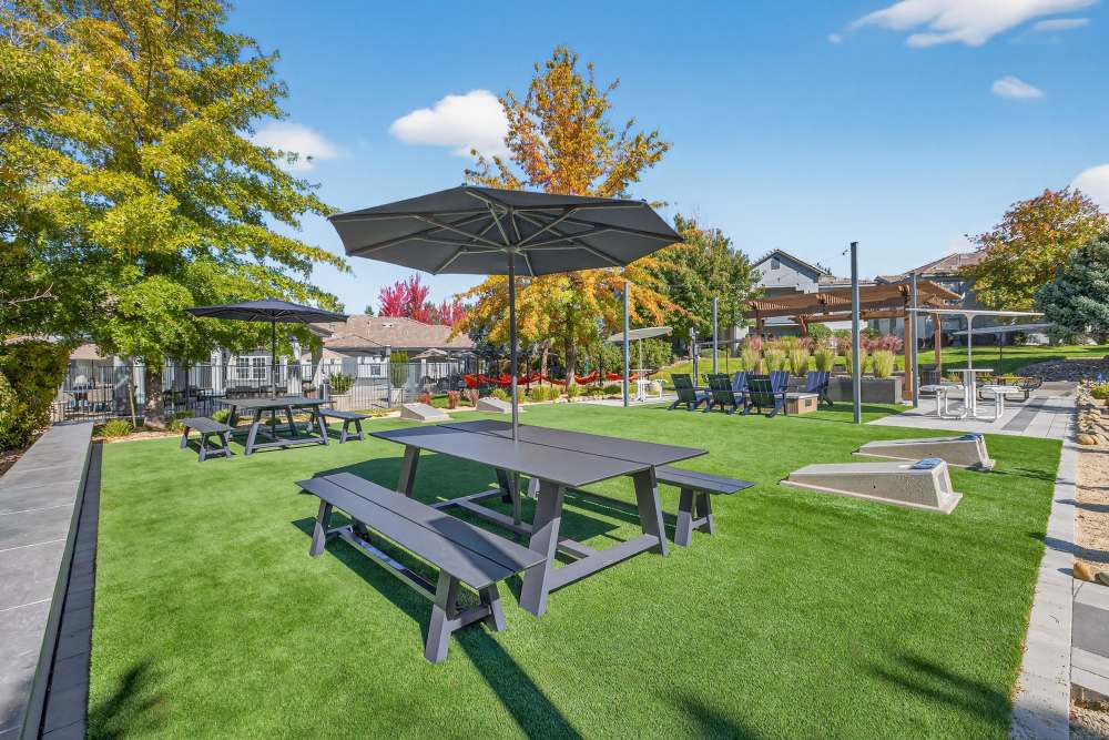 at Canyon Vista in Sparks, Nevada