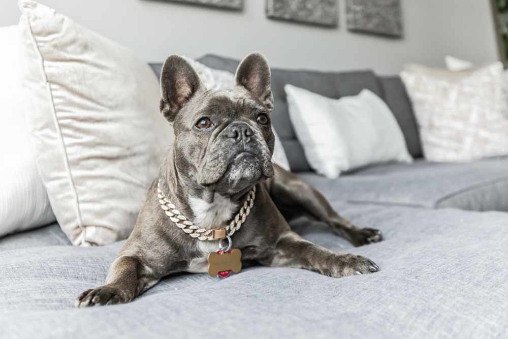 A beautiful bedroom with a ceiling fan at Hampton Square in Cherry Hill, New Jersey
