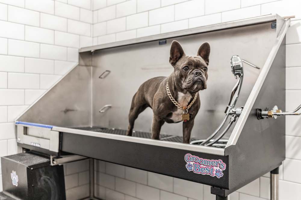 A residents bathing his pet dog at Hampton Square in Cherry Hill, New Jersey
