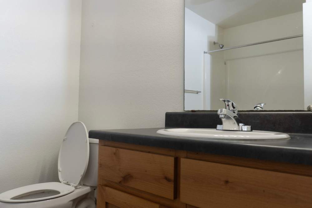 Seperate bathroom at Hardin Terrace in Jefferson, Georgia