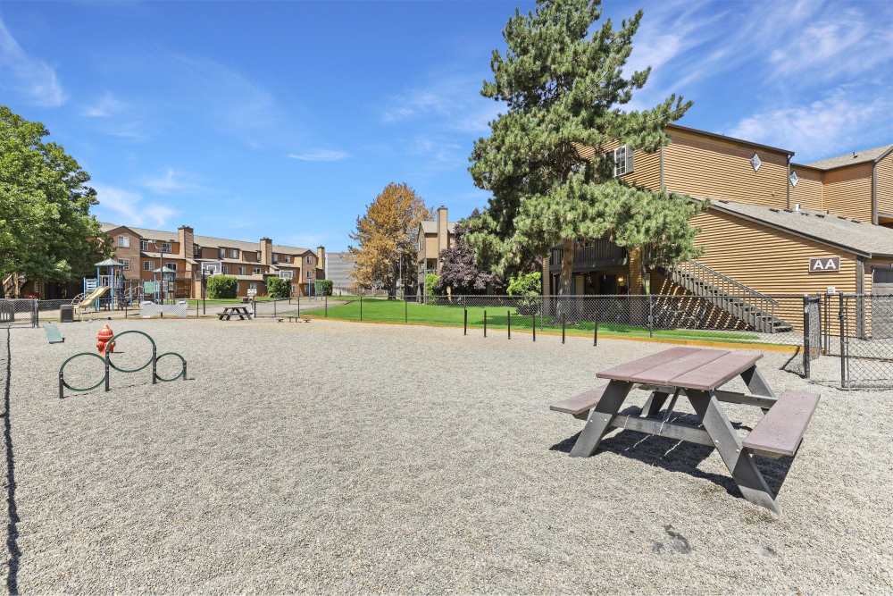 Dog park at Renaissance at 29th Apartments in Vancouver, Washington