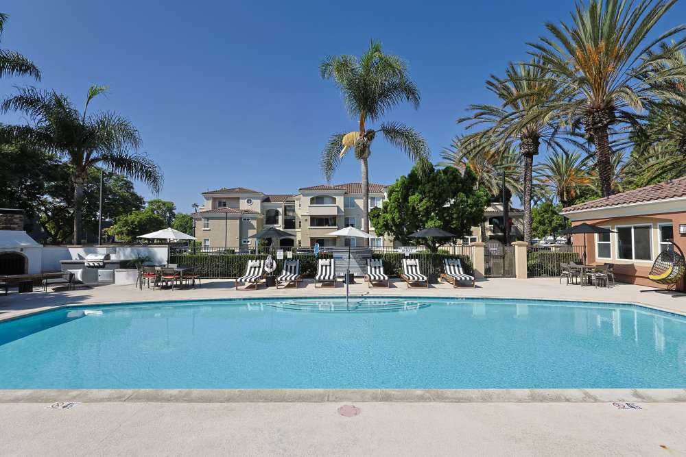 Swimming pool  at Allure at Camarillo in Camarillo, California