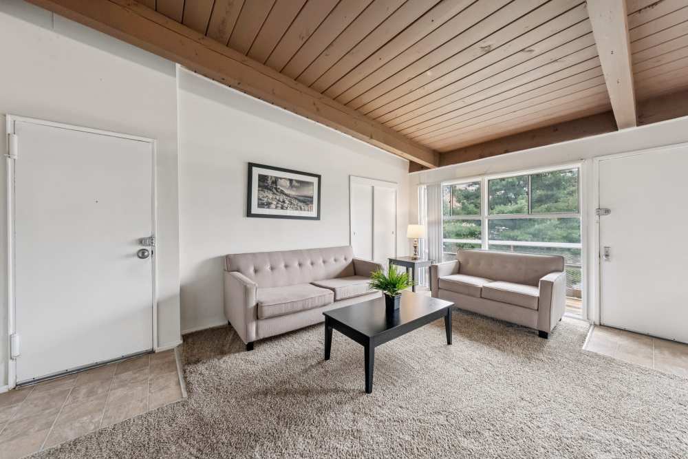 Well-lit living room at Belcrest Plaza in Hyattsville, Maryland