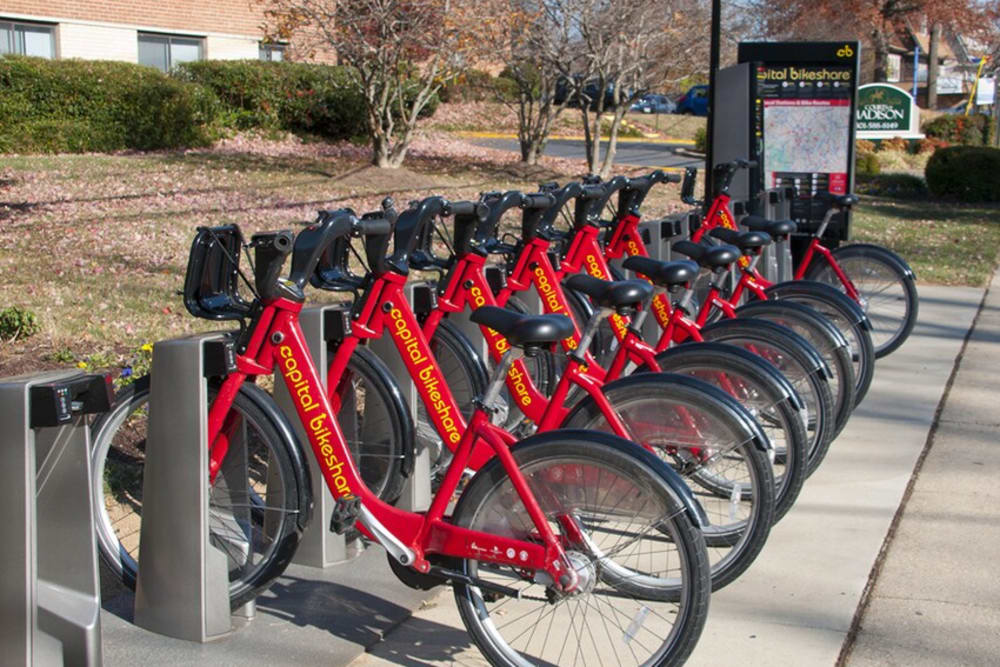 Bikes at Courts Of Madison in Silver Spring, Maryland