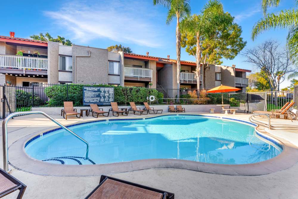Beautiful resort-style swimming pool with lounge chairs and palm trees at Shadow Ridge Apartments in Oceanside, California