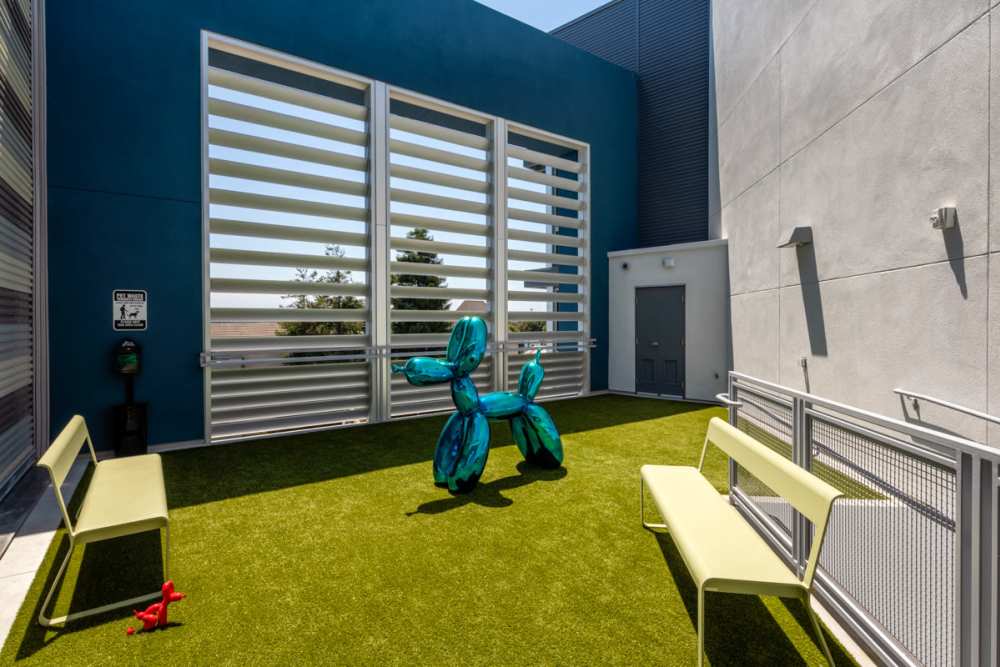 Dog park at Haven Apartments in Los Angeles, California