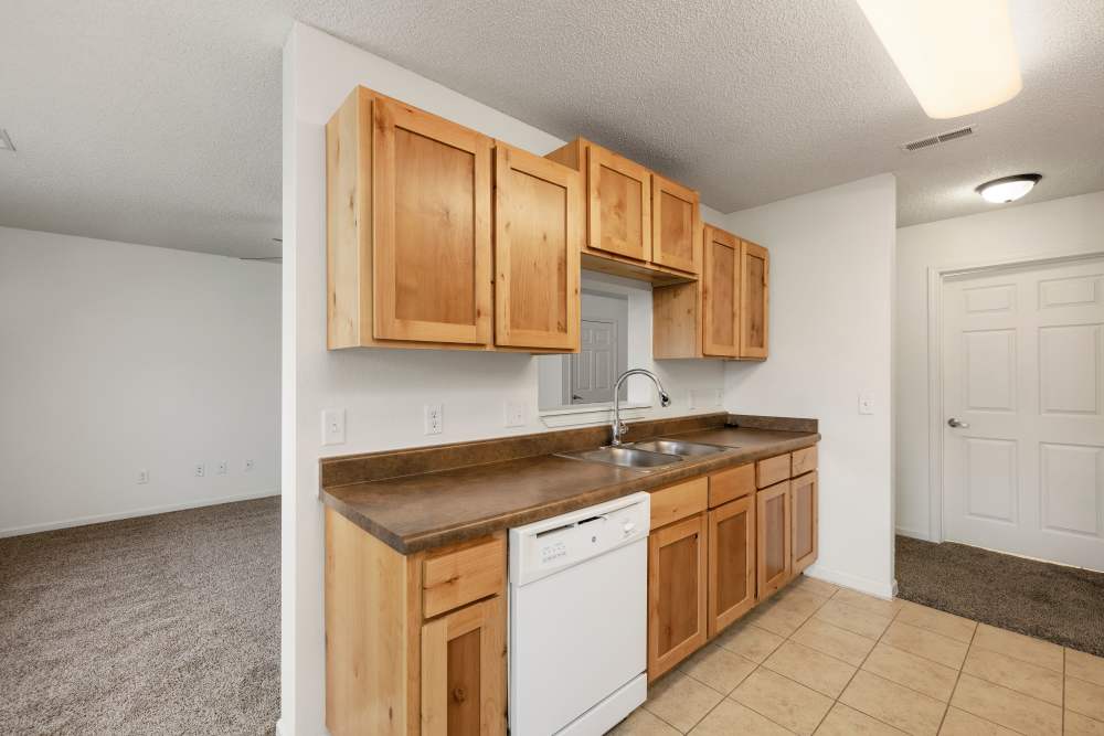 Kitchen with wood cabinets and double sink at Oaklawn II in Rogersville, Missouri 