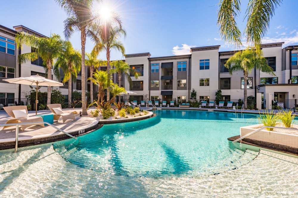 Resort-style pool surrounded by palm trees and modern apartments at The Walton in Sanford, Florida.