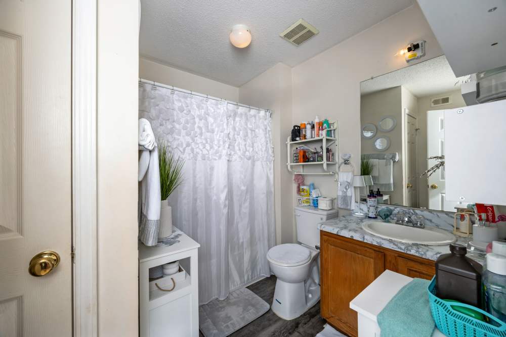 Bathroom with white shower curtain, small cabinet, and sink at Livingston Oaks in Birmingham, Alabama 