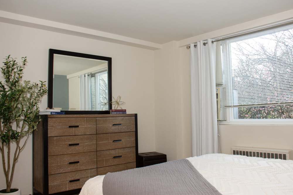 Happy dog at Thomas Wynne Apartments in Wynnewood, Pennsylvania