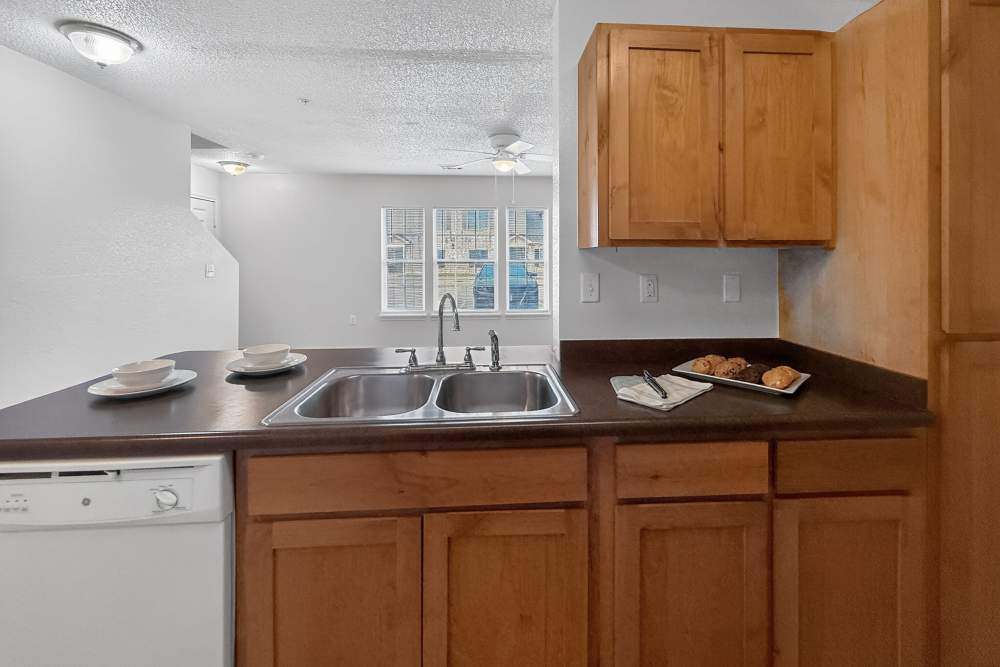 Kitchen with dishwasher at Riverstone Trails in Sunnyvale, Texas 