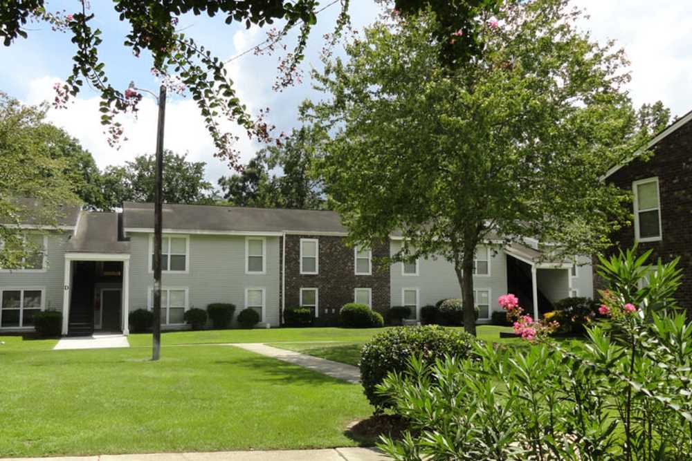 Greenery all around at Canebreak Apartments in Summerville, South Carolina