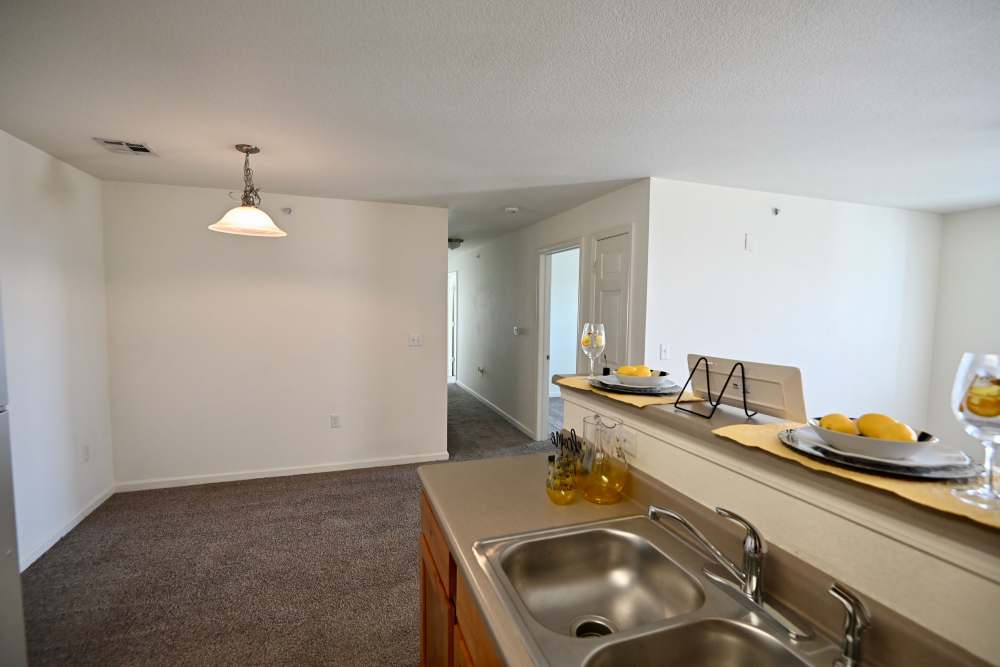 Kitchen with appliances at Western Springs in Dripping Springs, Texas