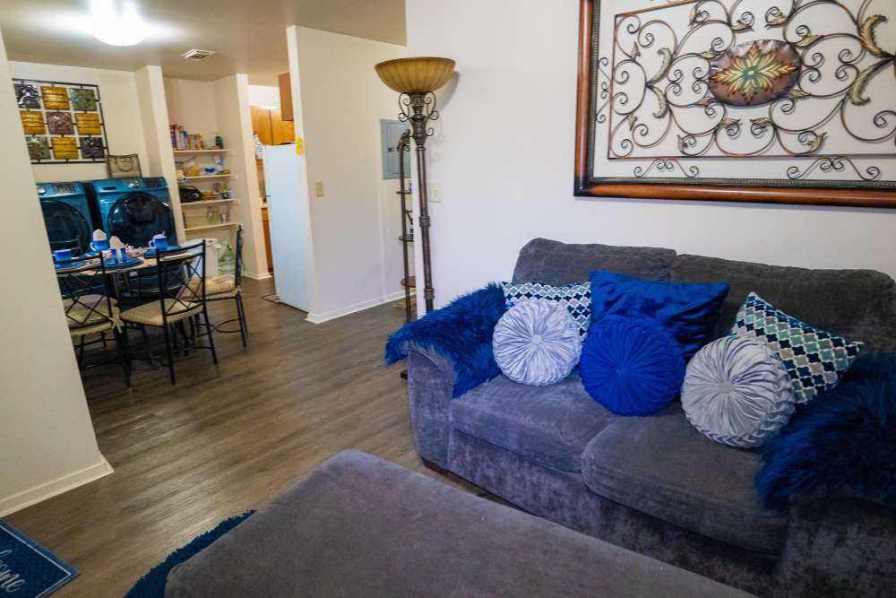 Living room of apartment with couch at Willowbrook II in Lafayette, Louisiana