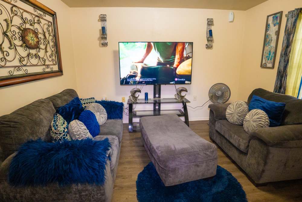 Apartment living area with couch and TV at Willowbrook II in Lafayette, Louisiana