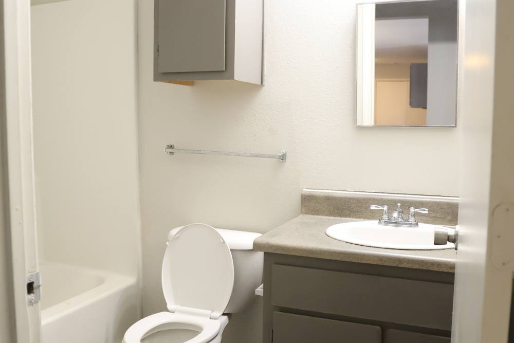 Bathroom at Horizon Apartments in Jackson, Mississippi