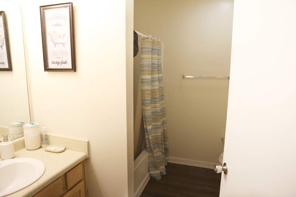 Apartment bathroom at Chapel Estates I in Jackson, Mississippi