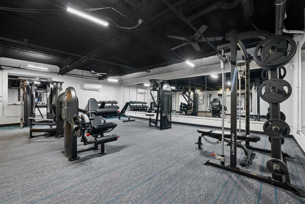 Photo of Gym Equipment