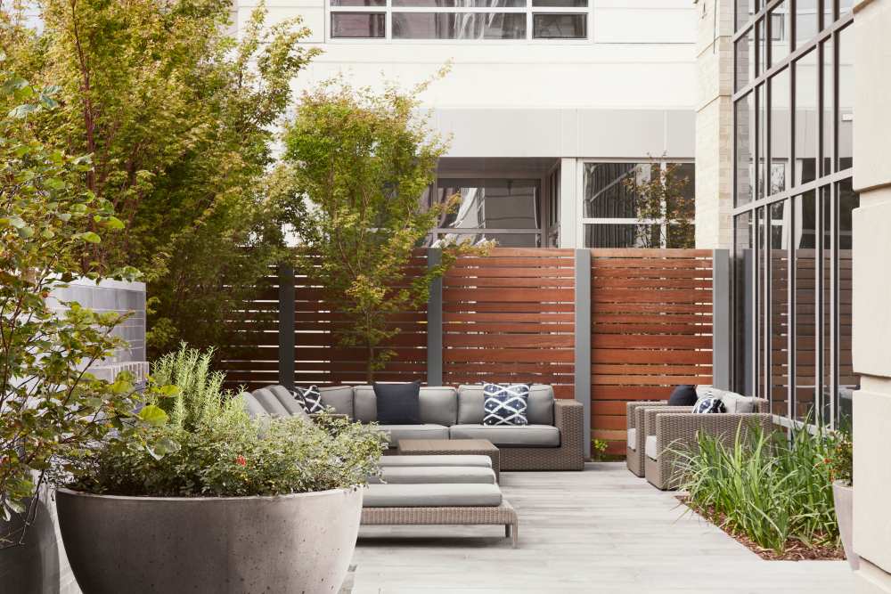 Resident seating area with couches at Ardan in Dallas, Texas