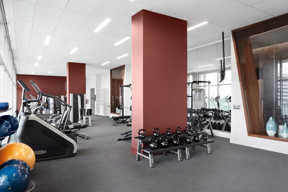 Fully-equipped gym at Ardan in Dallas, Texas