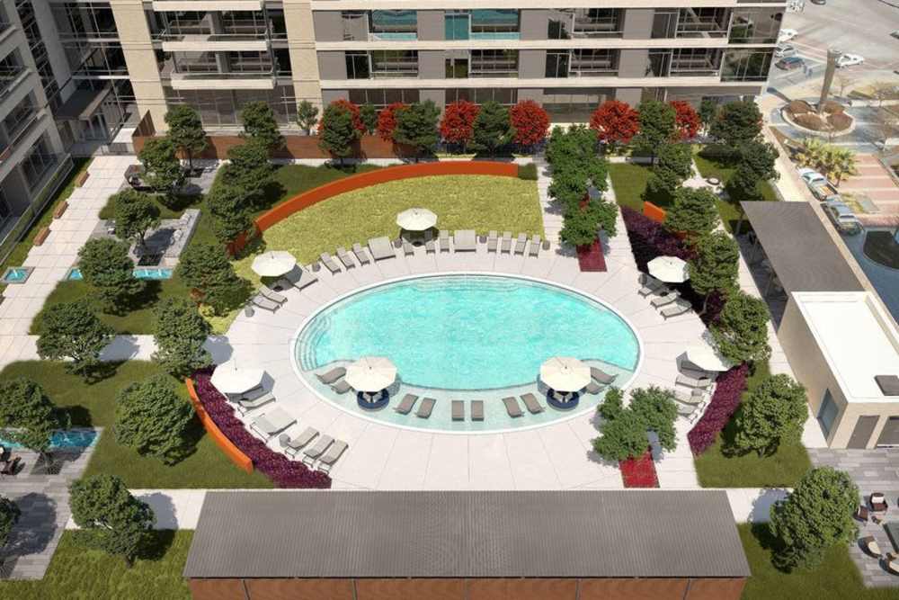 Arial view of Pool area with lounge seating at Ardan in Dallas, Texas 