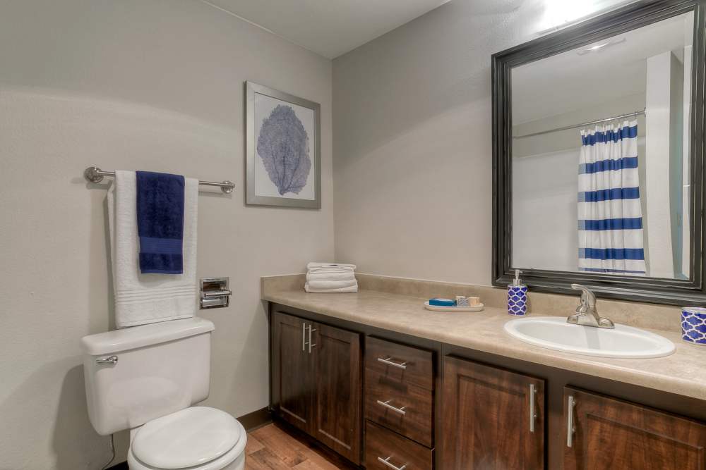 Bathroom with vanity mirror  at Newport Crossing Apartments in Newcastle, Washington