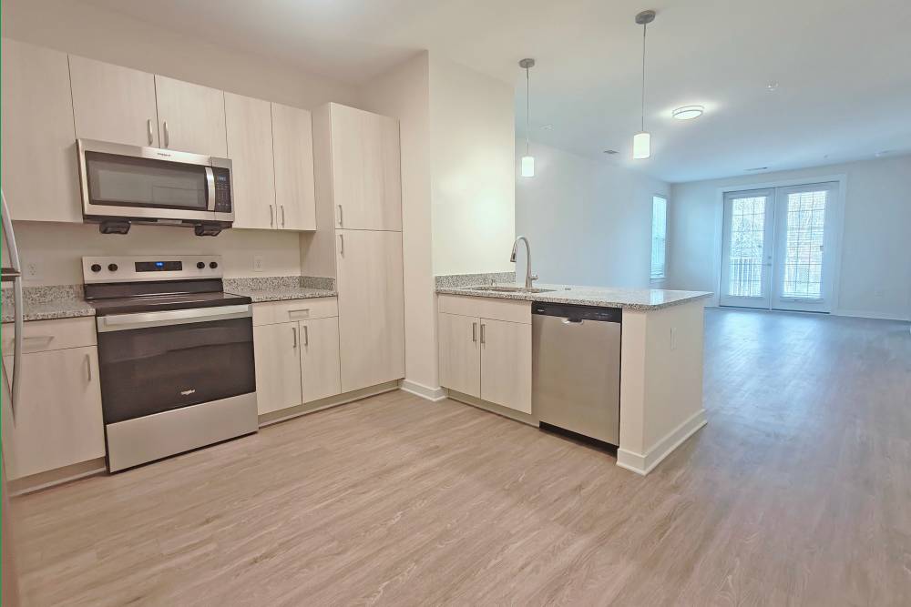 Stainless steel oven and dishwasher, sink with waterfall faucet, and granite countertops at Lancaster in Charlotte, North Carolina