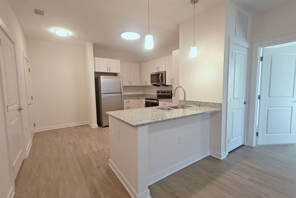 Stainless steel appliance kitchen at Lancaster in Charlotte, North Carolina
