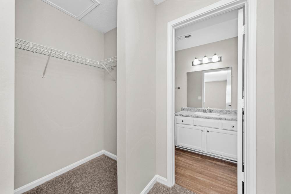 Premium Renovated 2 Bedroom Floor Plan