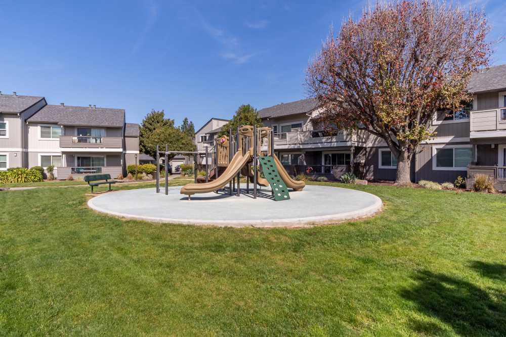 Playground at Sofi Waterford Park in San Jose, California