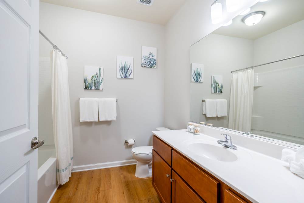 bathroom sink and toilet The Reserve at White Oak in Garner, North Carolina