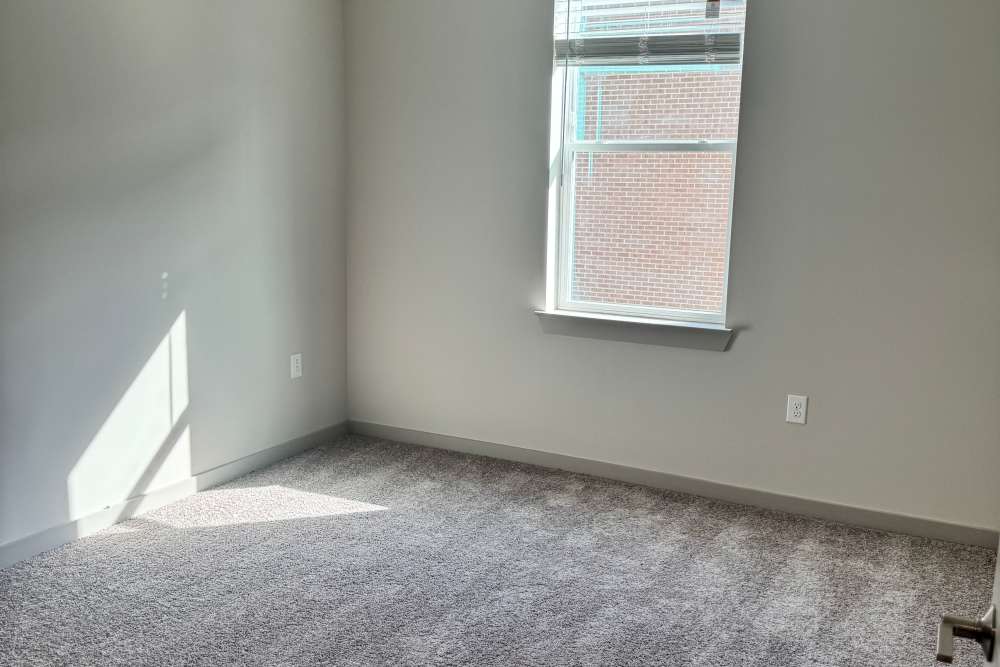 Well-lit bedroom with carpet flooring at Stride in Durham, North Carolina