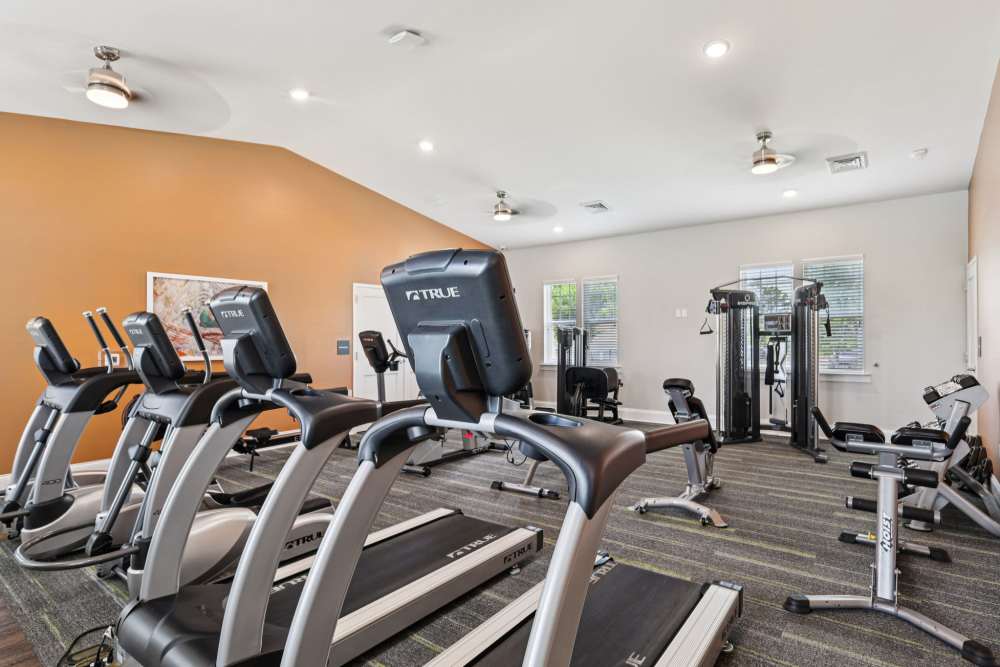 Fitness room with treadmills, rowing machine, and strength equipment facing windows at The Drake in Bowling Green, Kentucky