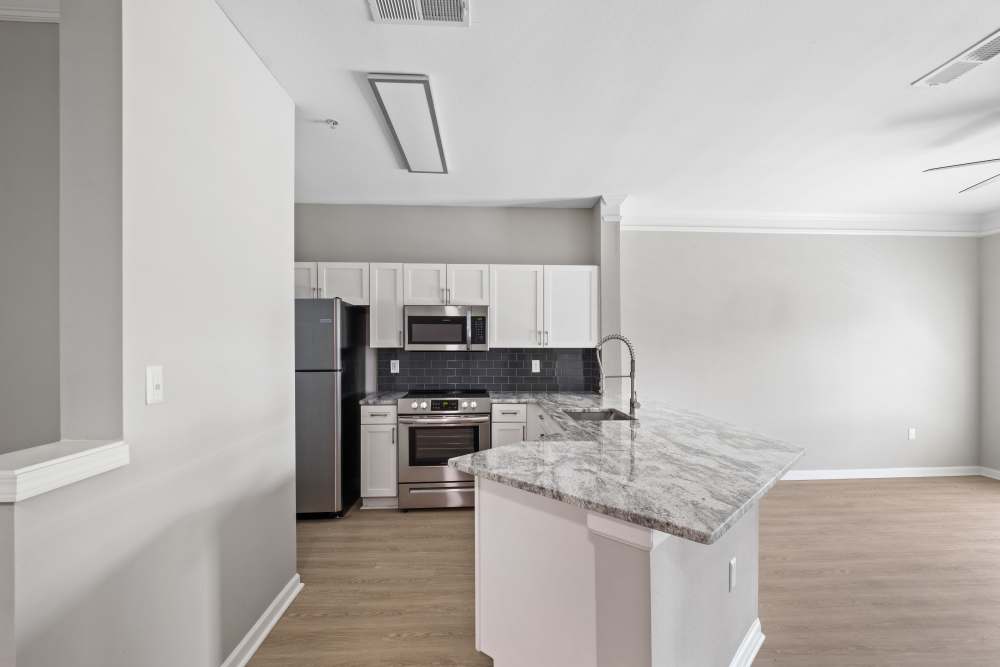 Granite countertops and gooseneck faucet in kitchen at Highlands at Alexander Pointe in Charlotte, North Carolina