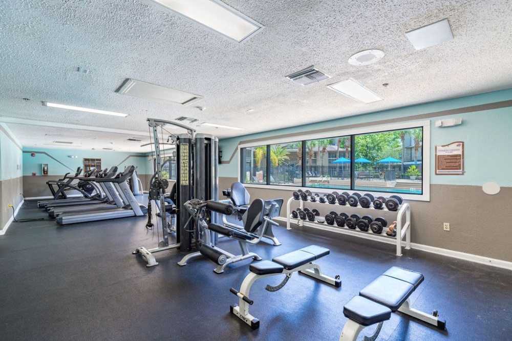 Fitness center with multiple equipment at Sabal Club in Longwood, Florida