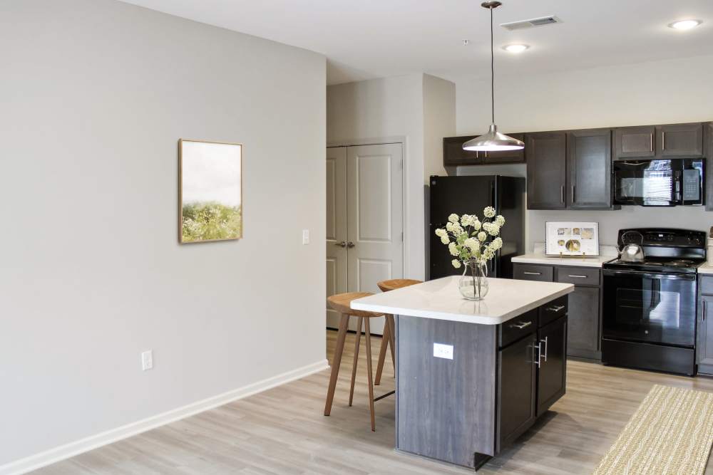 Modern kitchen with granite countertops at Jefferson's Landing in Louisville, Kentucky