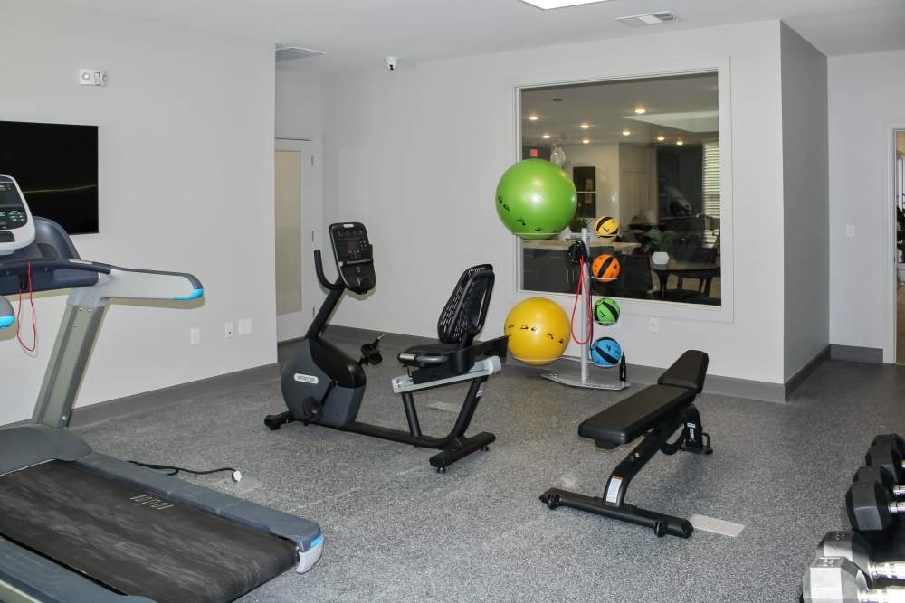 Modern fitness center with treadmill, stationary bike, weights, and colorful exercise balls at Jefferson's Landing in Louisville, Kentucky