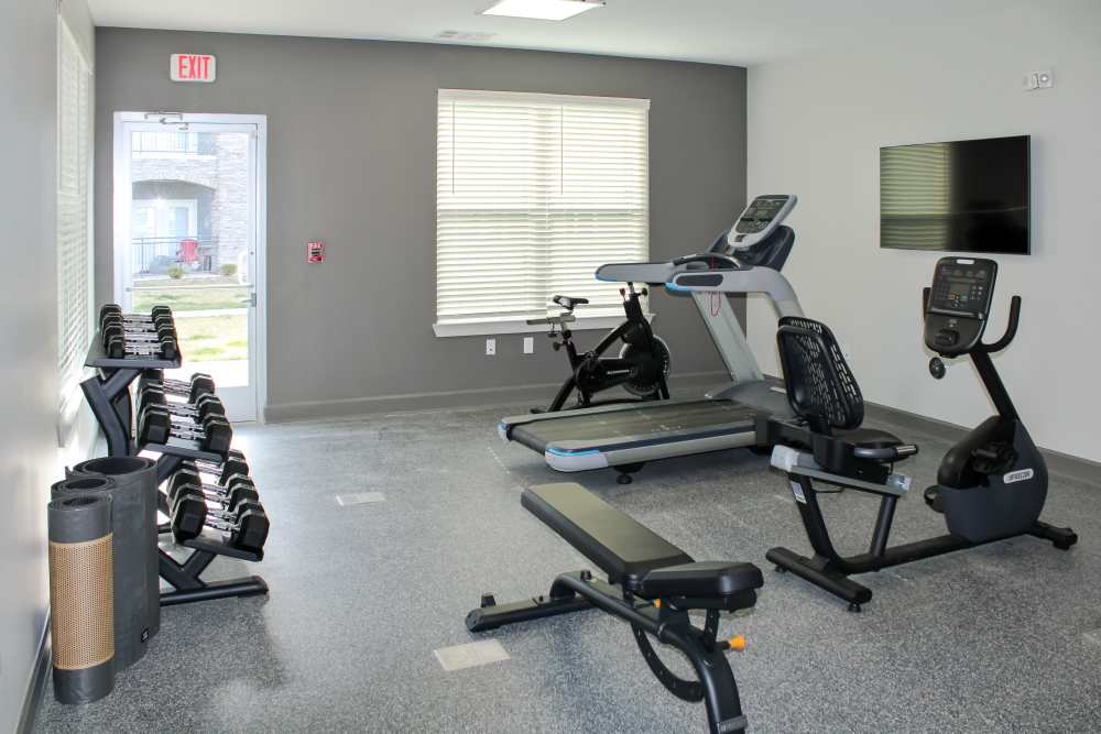 Modern fitness center with cardio machines, free weights, and large windows for natural light at Jefferson's Landing in Louisville, Kentucky