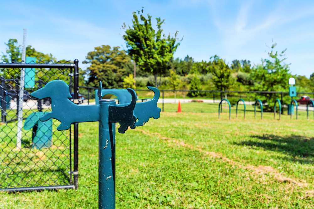 Dog park with green grass, fenced area, and dog-themed decorations for furry friends to enjoy at Bristol Bluffs Apartments in Louisville, Kentucky