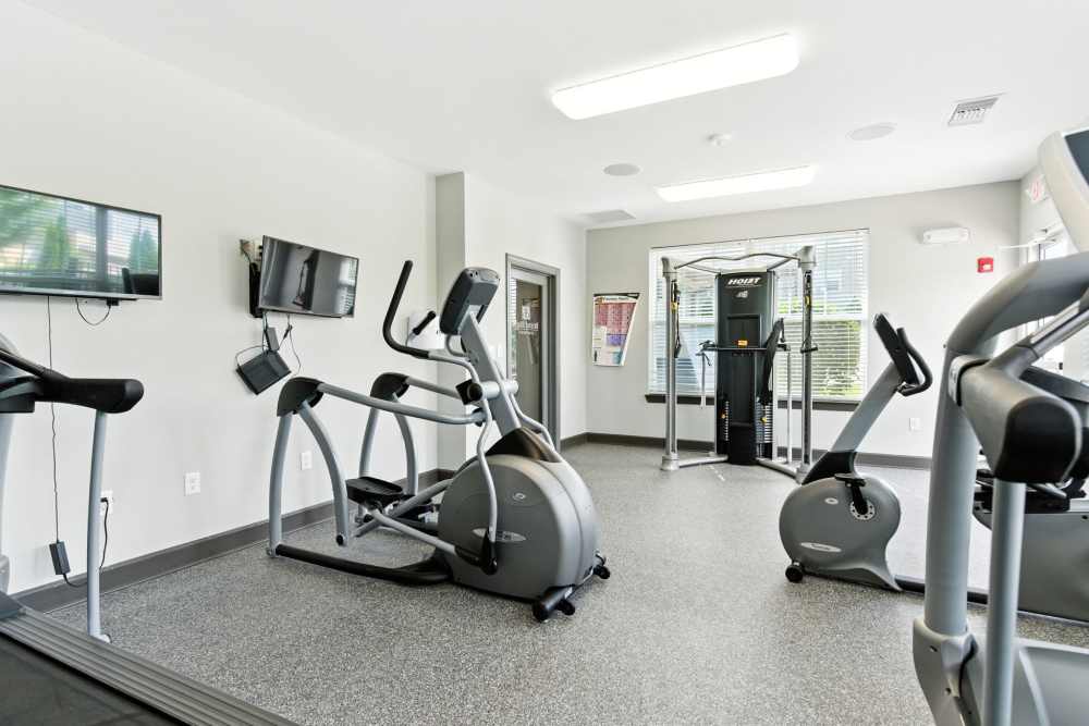 Modern fitness center with cardio machines and strength equipment, large windows for natural light at Bristol Bluffs Apartments in Louisville, Kentucky