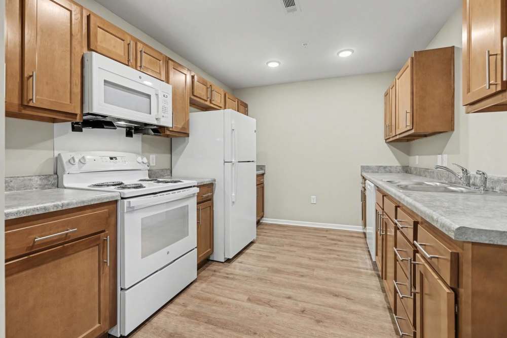 Modern kitchen with granite countertops, stainless steel appliances, and wood-style flooring at Annika Place II in Traverse City, Michigan