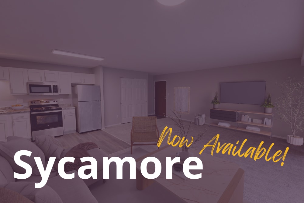 Sycamore Now Available! 