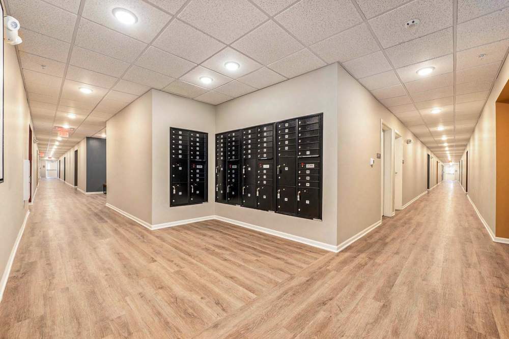 Bright hallway with wood-style flooring and mailboxes on the wall at Annika Place in Traverse City, Michigan
