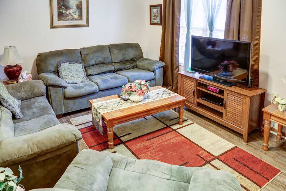 Cozy living room with plush sofas, wooden coffee table, and a television on a media console at Paint Landing in Stambaugh, Kentucky